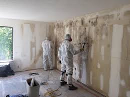 Asbestos and Lead Testing During Mold Inspection